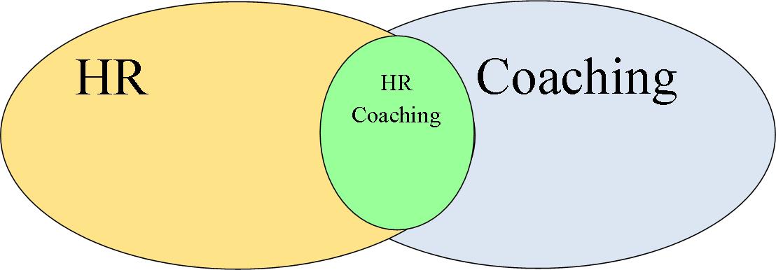 Coaching and HR | TheDevCo | Business Coaching