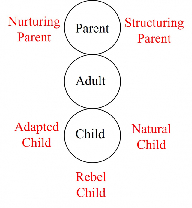 Transactional Analysis | Parent Adult Child | TheDevCo